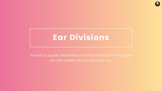 Ear Divisions
the ear is usually described as having three parts—the outer
ear, the middle ear and the inner ear.
 
