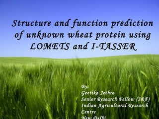 Structure and function prediction
of unknown wheat protein using
LOMETS and I-TASSER

By:
Geetika Jethra
Senior Research Fellow (SRF)
Indian Agricultural Research
Centre
Page 1

 