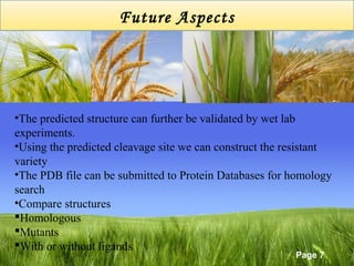 Future Aspects

•The predicted structure can further be validated by wet lab
experiments.
•Using the predicted cleavage site we can construct the resistant
variety
•The PDB file can be submitted to Protein Databases for homology
search
•Compare structures
Homologous
Mutants
With or without ligands
Page 7

 