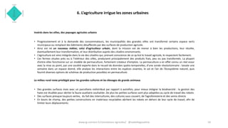 6. L’agriculture irrigue les zones urbaines
Insérés dans les villes, des paysages agricoles urbains
• Progressivement et à la demande des consommateurs, les municipalités des grandes villes ont transformé certains espace verts
municipaux ou remplacé des bâtiments désaffectés par des surfaces de production agricole.
• Ainsi est né un nouveau métier, celui d’agriculteur urbain, dont la mission est de mener à bien les productions, leur récolte,
éventuellement leur transformation, et leur distribution auprès des citadins environnants.
• L’agriculture est ainsi intégrée dans la vie des citadins qui, prenant conscience de ce qu’est le travail agricole, le respectent facilement.
• Ces fermes situées près ou à l’intérieur des villes, produisent principalement des produits frais, peu ou pas transformés. La plupart
d’entre elles fonctionne sur un modèle de permaculture, fortement créateur d’emplois. La permaculture a en effet connu un réel essor
avec la mise au point, par une société experte dans le recueil de données spatio-temporelles, d’une sonde révolutionnaire : laissée une
semaine dans un espace donné, elle analyse les interactions entre les espèces vivantes, le sol et l’air de l’écosystème naturel, puis
fournit diverses options de schémas de production possibles en permaculture.
Le milieu rural reste privilégié pour les grandes cultures et les élevages de grands animaux
• Des grandes surfaces mais avec un parcellaire redistribué par rapport à autrefois, pour mieux intégrer la biodiversité : la gestion des
haies est étudiée pour abriter la faune auxiliaire souhaitée. De plus les petites surfaces sont plus adaptées au cycle de travail des robots.
• Des surfaces presque toujours vertes, du fait des intercultures, des cultures sous couvert, de l’agroforesterie et des semis directs
• En bouts de champ, des petites constructions en matériaux recyclables abritent les robots en dehors de leur cycle de travail, afin de
limiter leurs déplacements.
10www.ig-connect.fr/connexions-agricoles/ @isabellegoudcha
 