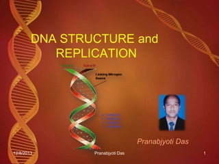 DNA STRUCTURE and
REPLICATION

Pranabjyoti Das
12/8/2013

Pranabjyoti Das

1

 