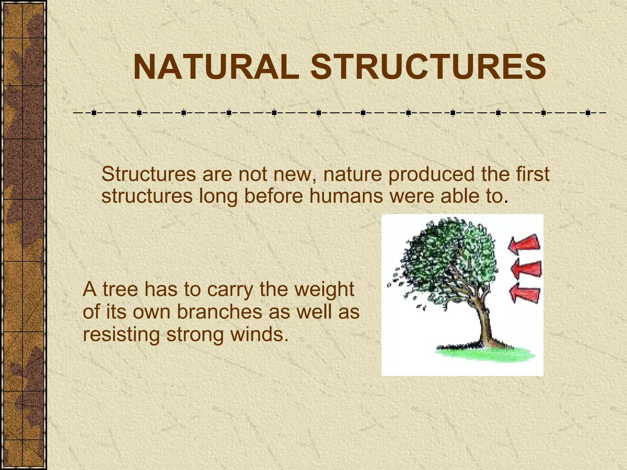 NATURAL STRUCTURES Structures are not new, nature produced the first structures long before humans were able to .   A tree has to carry the weight of its own branches as well as resisting strong winds. 
