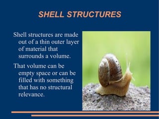 Shell Structures 