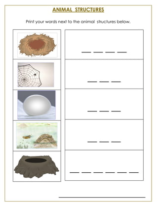__ __ __ __
__ __ __
__ __ __
__ __ __
__ __ __ __ __ __
ANIMAL STRUCTURES
Print your words next to the animal structures below.
 