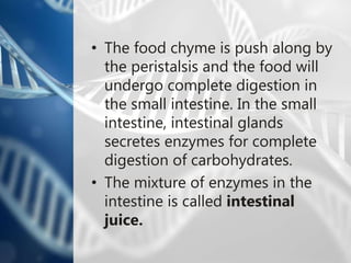 Structures and functions of human digestive system | PPTX