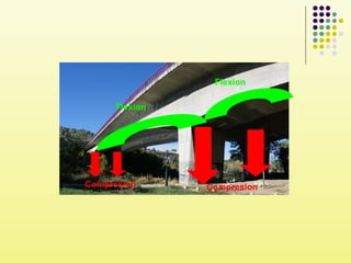 Compresion Compresion
Flexion
Flexion
 
