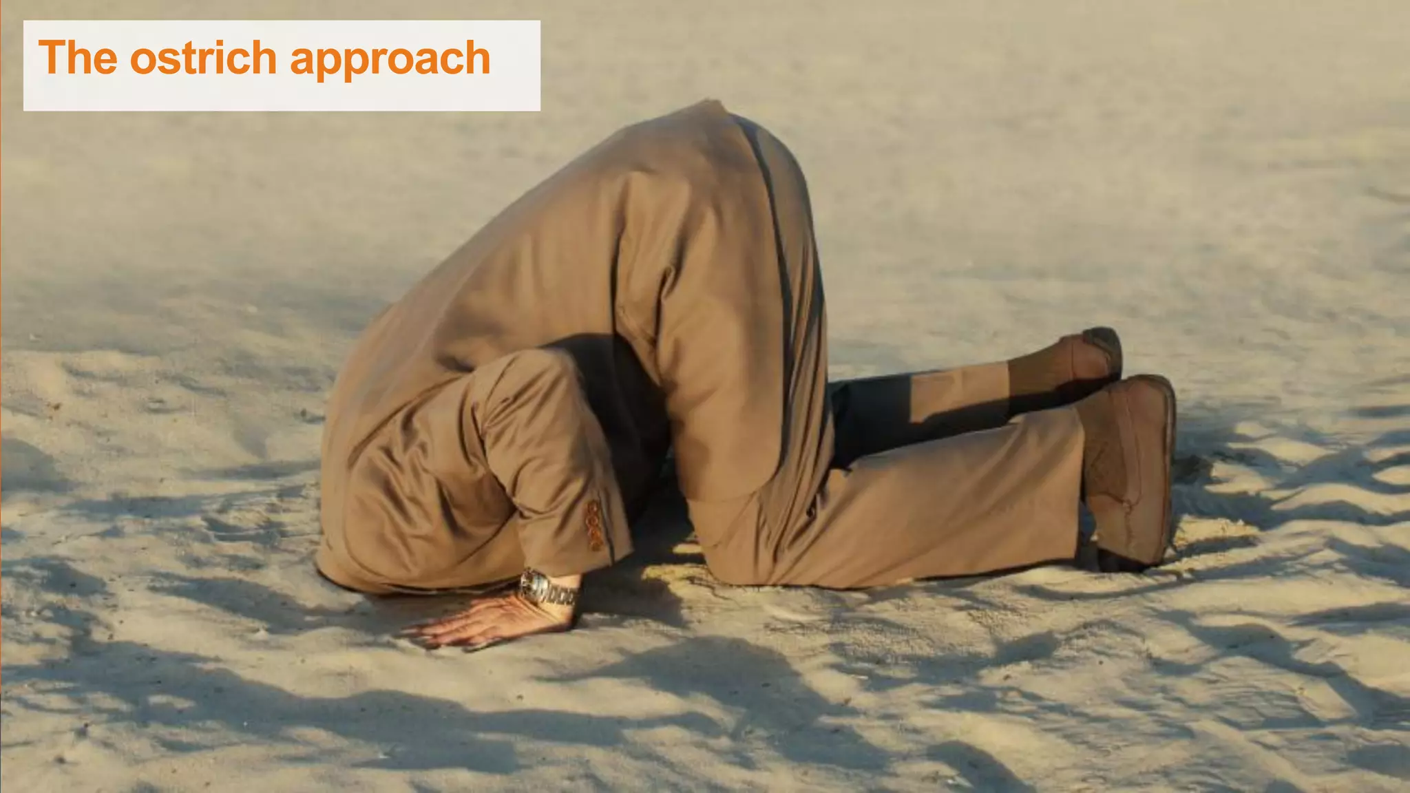 The ostrich approach
 