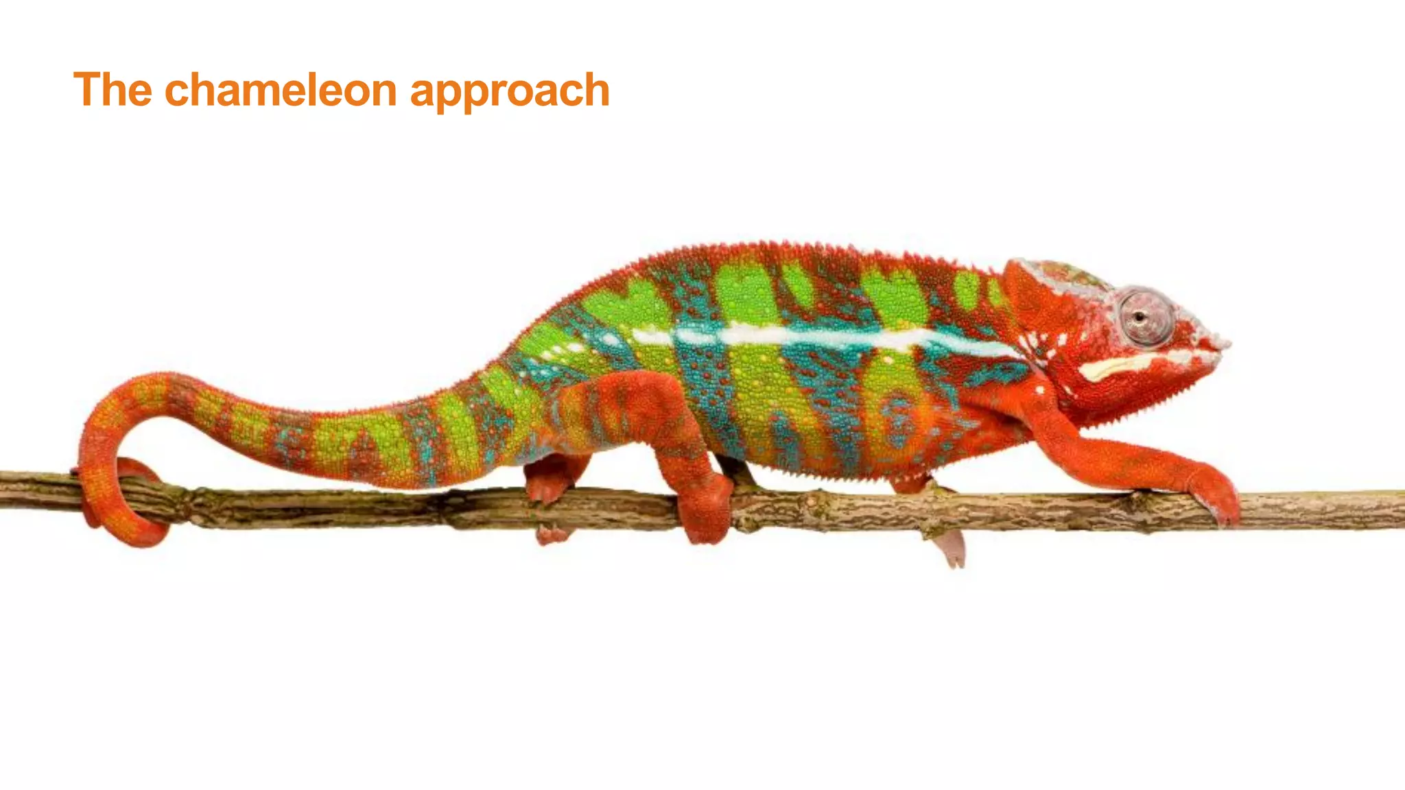The chameleon approach
 