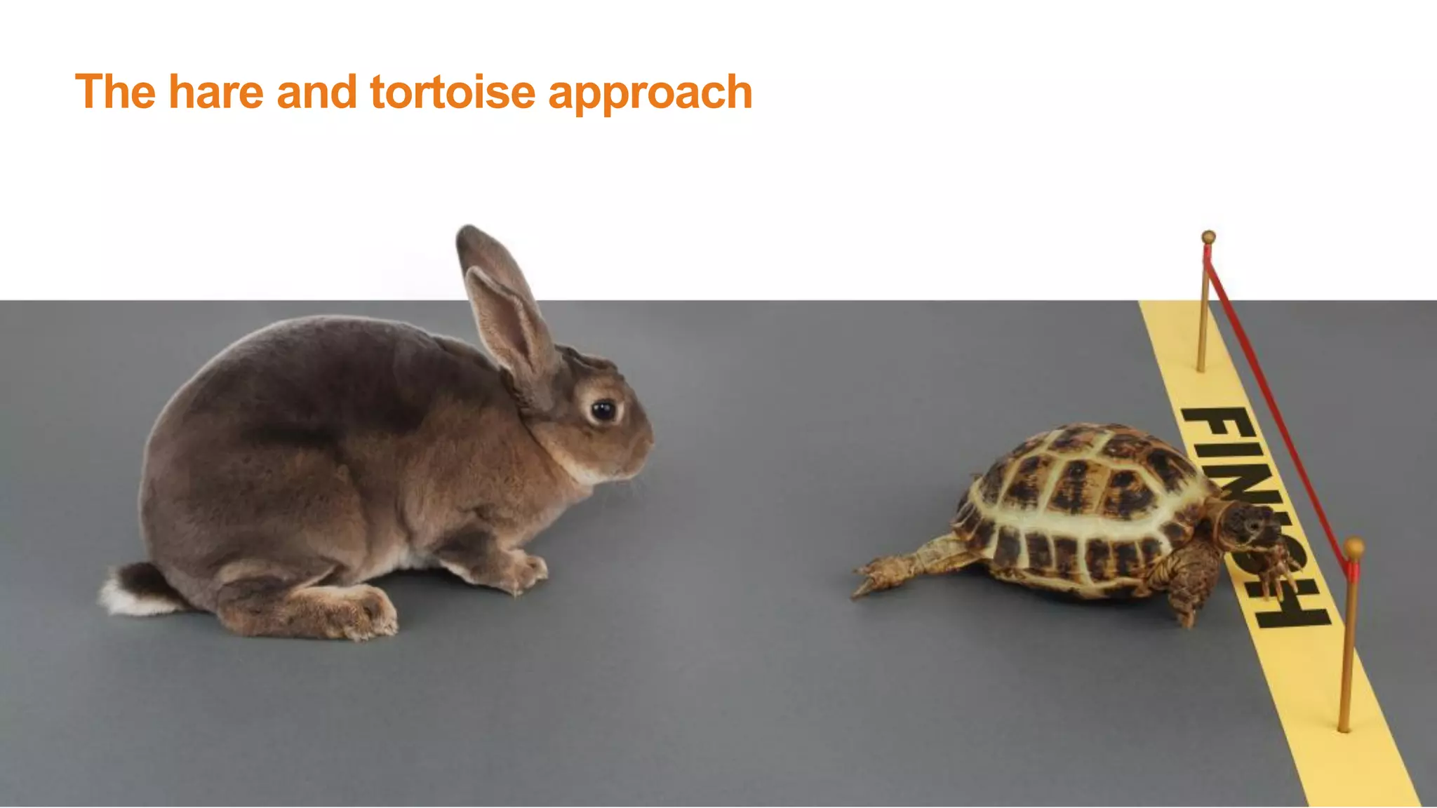 The hare and tortoise approach
 