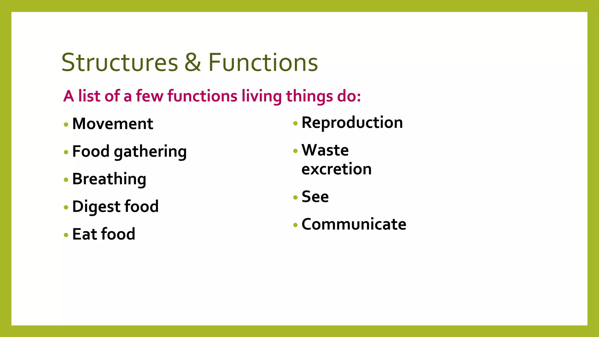 Structures & functions