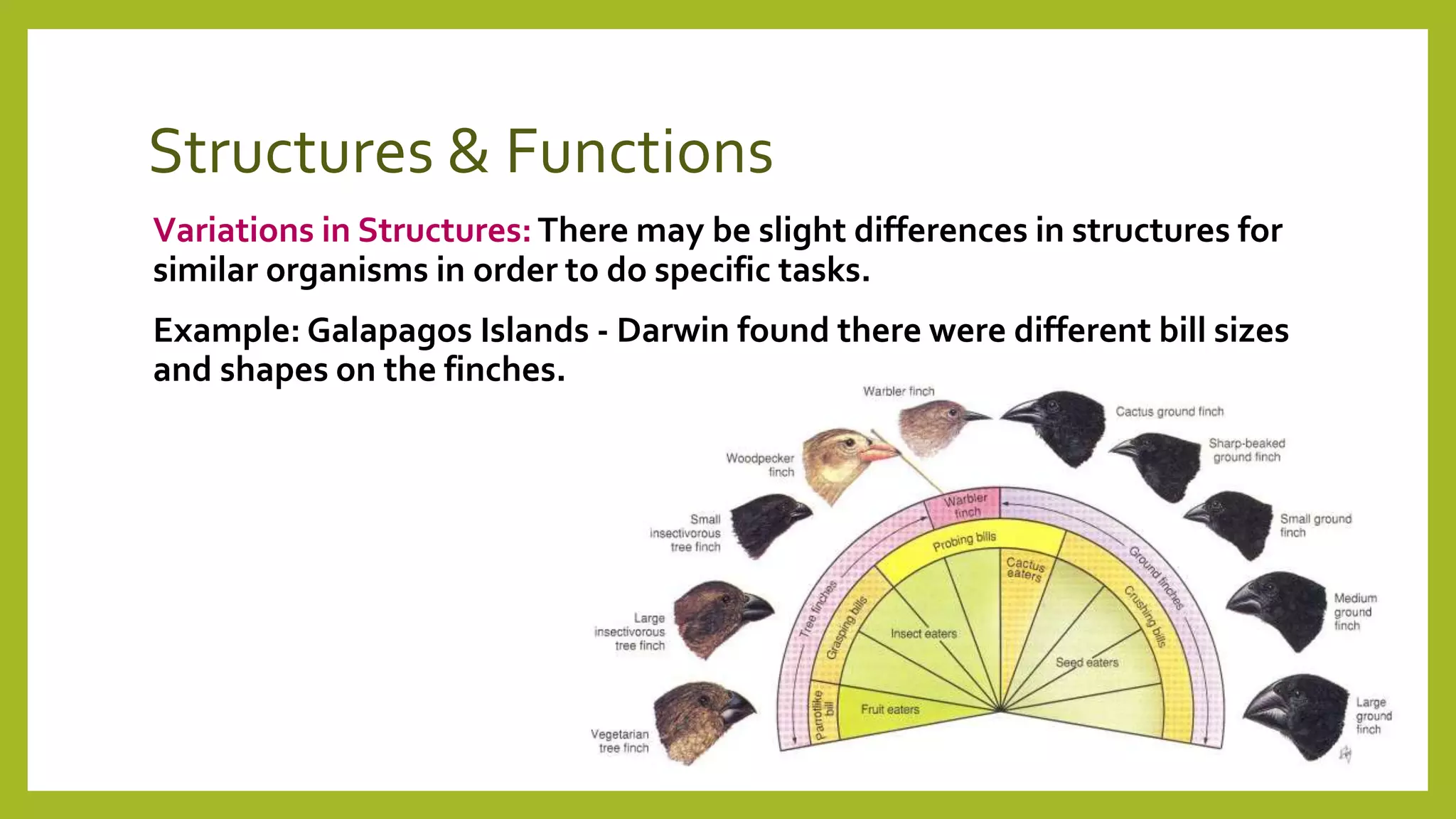 Structures & functions