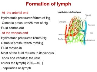 Formation of lymph
At the arterial end
Hydrostatic pressure=30mm of Hg
Osmotic pressure=25 mm of Hg
Fluid comes out
At the venous end
Hydrostatic pressure=12mm/Hg
Osmotic pressure=25 mm/Hg
Fluid moves in
Most of the fluid returns to its venous
ends and venules; the rest
(10—20%(enters the lymph
capillaries as lymph.
 