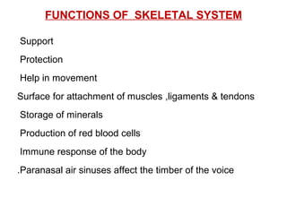 FUNCTIONS OF SKELETAL SYSTEM
Support
Protection
Help in movement
Surface for attachment of muscles ,ligaments & tendons
Storage of minerals
Production of red blood cells
Immune response of the body
Paranasal air sinuses affect the timber of the voice.
 