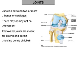 JOINTSJOINTS
Junction between two or more
bones or cartilages.
There may or may not be
movement.
Immovable joints are meant
for growth and permit
molding during childbirth.
 