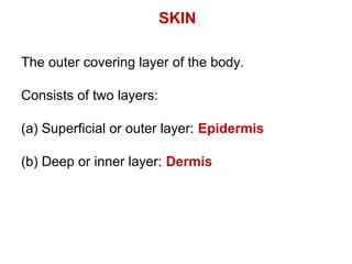 The outer covering layer of the body.
Consists of two layers:
(a) Superficial or outer layer: Epidermis
(b) Deep or inner layer: Dermis
SKIN
 