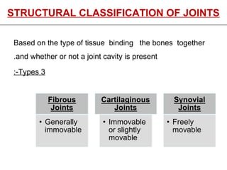 STRUCTURAL CLASSIFICATION OF JOINTSSTRUCTURAL CLASSIFICATION OF JOINTS
Based on the type of tissue binding the bones together
and whether or not a joint cavity is present.
3Types:-
 
