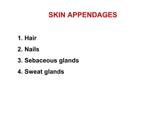 SKIN APPENDAGES
1. Hair
2. Nails
3. Sebaceous glands
4. Sweat glands
 