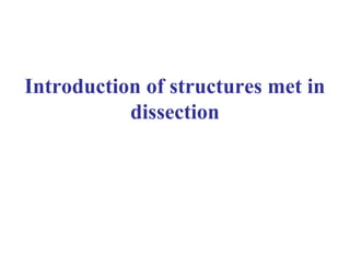 Introduction of structures met in
dissection
 