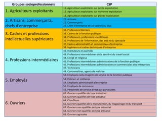 Groupes socioprofessionnels CSP
1. Agriculteurs exploitants
11. Agriculteurs exploitants sur petite exploitation
12. Agriculteurs exploitants sur moyenne exploitation
13. Agriculteurs exploitants sur grande exploitation
2. Artisans, commerçants,
chefs d’entreprise
21. Artisans
22. Commerçants
23. Chefs d’entreprise de 10 salariés ou plus
3. Cadres et professions
intellectuelles supérieures
31. Professions libérales
33. Cadres de la fonction publique
34. Professeurs, professions scientifiques
35. Professions de l’information, des arts et du spectacle
37. Cadres administratifs et commerciaux d’entreprise
38. Ingénieurs et cadres techniques d’entreprise
4. Professions intermédiaires
42. Instituteurs et assimilés
43. Professions intermédiaires de la santé et du travail social
44. Clergé et religieux
45. Professions intermédiaires administratives de la fonction publique
46. Professions intermédiaires administratives et commerciales des entreprises
47. Techniciens
48. Contremaîtres, agents de maîtrise
5. Employés
52. Employés civils et agents de service de la fonction publique
53. Policiers et militaires
54. Employés administratifs d’entreprise
55. Employés de commerce
56. Personnels de service direct aux particuliers
6. Ouvriers
62. Ouvriers qualifiés de type industriel
63. Ouvriers qualifiés de type artisanal
64. Chauffeurs
65. Ouvriers qualifiés de la manutention, du magasinage et du transport
67. Ouvriers non qualifiés de type industriel
68. Ouvriers non qualifiés de type artisanal
69. Ouvriers agricoles
 