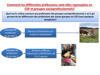 Quel est le critère commun aux professions des groupes socioprofessionnels 1 et 2 qui
permet de les différencier des professions des autres groupes ou CSP (sauf quelques
exceptions?
Exemple de
profession
du groupe 1
Eleveurs d'herbivores sur
moyenne exploitation
Exemple de
profession
du groupe 2
Artisans coiffeurs,
manucures, esthéticiens, de
0 à 9 salariés
Comment les différentes professions sont-elles regroupées en
CSP et groupes socioprofessionnels?
 