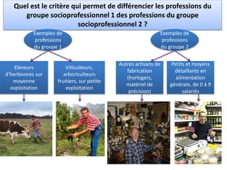 Quel est le critère qui permet de différencier les professions du
groupe socioprofessionnel 1 des professions du groupe
socioprofessionnel 2 ?
Exemples de
professions
du groupe 1
Eleveurs
d'herbivores sur
moyenne
exploitation
Exemples de
professions
du groupe 2
Autres artisans de
fabrication
(horlogers,
matériel de
précision)
Viticulteurs,
arboriculteurs
fruitiers, sur petite
exploitation
Petits et moyens
détaillants en
alimentation
générale, de 0 à 9
salariés
 