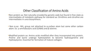 Other Classification of Amino Acids
•Non-protein aa: Not naturally encoded by genetic code but found in free state as
intermediates of metabolic pathway for standard aa: Ornithine and citrulline are
intermediates in urea biosynthesis.
• Non α-aa: -NH2 group not attached to α-carbon atom but some other carbon
atom. Ex. γ-aminobutyric acid (GABA) and β-alanine.
•Modified protein aa: Amino acids modified after they incorporated into protein.
Proline and lysine undergo hydroxylation to become hydroxyproline and
Hydroxylysine. Essential for formation of mature collagen.
 
