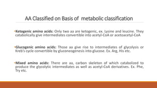 AA Classified on Basis of metabolic classification
•Ketogenic amino acids: Only two aa are ketogenic, ex. Lysine and leucine. They
catabolically give intermediates convertible into acetyl-CoA or acetoacetyl-CoA
•Glucogenic amino acids: Those aa give rise to intermediates of glycolysis or
Kreb’s cycle convertible by gluconeogenesis into glucose. Ex. Arg, His etc.
•Mixed amino acids: There are aa, carbon skeleton of which catabolized to
produce the glycolytic intermediates as well as acetyl-CoA derivatives. Ex. Phe,
Try etc.
 
