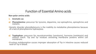 Function of Essential Amino acids
Non-polar amino acids:
1. Aromatic aa:
a) Phenylalanine: precursor for tyrosine, dopamine, nor-epinephrine, epinephrine and
melanin.
•Genetic disorder phenylketonuria is the inability to metabolize phenylalanine because
of a lack of phenylalanine hydroxylase.
a) Tryptophan: precursor for neurotransmitter (serotonin), hormone (melatonin) and
vitamin niacin. Trp and Tyr residues anchoring membrane proteins within cell
membrane.
•Fructose malabsorption causes improper absorption of Trp in intestine causes reduced
level of Trp in blood.
 