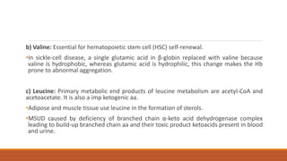 b) Valine: Essential for hematopoietic stem cell (HSC) self-renewal.
•In sickle-cell disease, a single glutamic acid in β-globin replaced with valine because
valine is hydrophobic, whereas glutamic acid is hydrophilic, this change makes the Hb
prone to abnormal aggregation.
c) Leucine: Primary metabolic end products of leucine metabolism are acetyl-CoA and
acetoacetate. It is also a imp ketogenic aa.
•Adipose and muscle tissue use leucine in the formation of sterols.
•MSUD caused by deficiency of branched chain α-keto acid dehydrogenase complex
leading to build-up branched chain aa and their toxic product ketoacids present in blood
and urine.
 