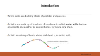 Introduction
•Amino acids as a building blocks of peptides and proteins
•Proteins are made up of hundreds of smaller units called amino acids that are
attached to one another by peptide bonds, forming a long chain.
•Protein as a string of beads where each bead is an amino acid.
www.khanacademy.org
 
