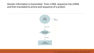 Genetic information is transcribed from a DNA sequence into mRNA
and then translated to amino acid sequence of a protein
Fig. 2.1. Textbook of Biochemistry with Clinical Correlations, 4th edition by Thomas M Devlin
 