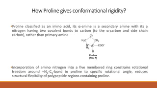 How Proline gives conformational rigidity?
•Proline classified as an imino acid, its α-amine is a secondary amine with its a
nitrogen having two covalent bonds to carbon (to the α-carbon and side chain
carbon), rather than primary amine
•Incorporation of amino nitrogen into a five membered ring constrains rotational
freedom around –Nα-Cα-bond in proline to specific rotational angle, reduces
structural flexibility of polypeptide regions containing proline.
α
 