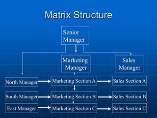 MMaattrriixx SSttrruuccttuurree 
Senior 
Manager 
Marketing 
Manager 
North Manager Sales Section A 
South Manager 
East Manager 
Sales 
Manager 
Marketing Section A 
Marketing Section B 
Marketing Section C 
Sales Section B 
Sales Section C 
 