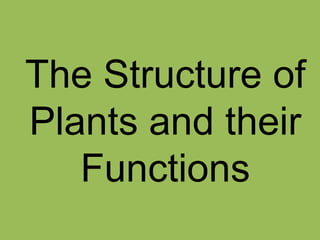 The Structure of
Plants and their
   Functions
 