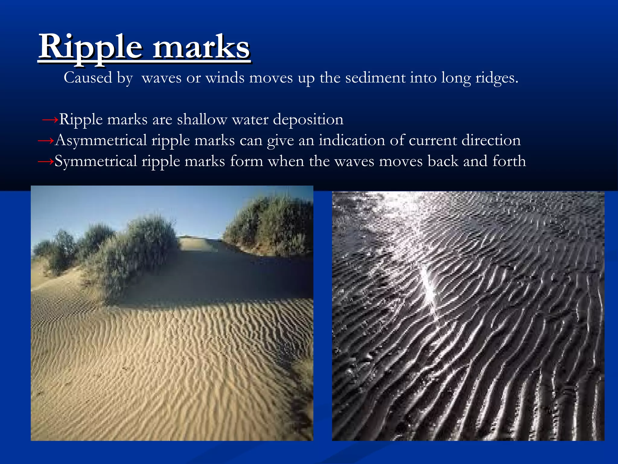 Ripple marksRipple marks
Caused by waves or winds moves up the sediment into long ridges.
→Ripple marks are shallow water deposition
→Asymmetrical ripple marks can give an indication of current direction
→Symmetrical ripple marks form when the waves moves back and forth
 