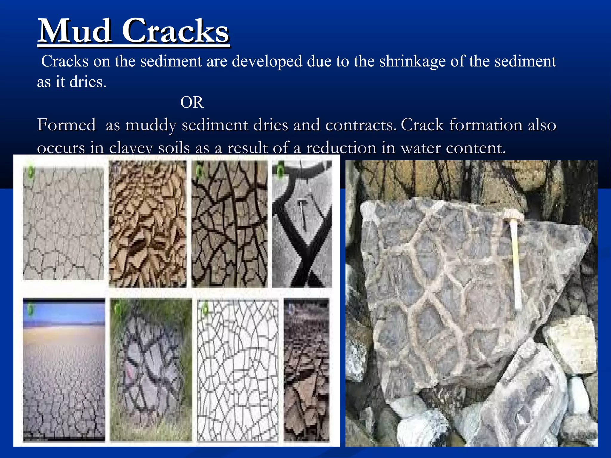 Mud CracksMud Cracks
Cracks on the sediment are developed due to the shrinkage of the sediment
as it dries.
OR
Formed as muddy sediment dries and contracts.Formed as muddy sediment dries and contracts. Crack formation alsoCrack formation also
occurs in clayey soils as a result of a reduction in water content. occurs in clayey soils as a result of a reduction in water content. 
 