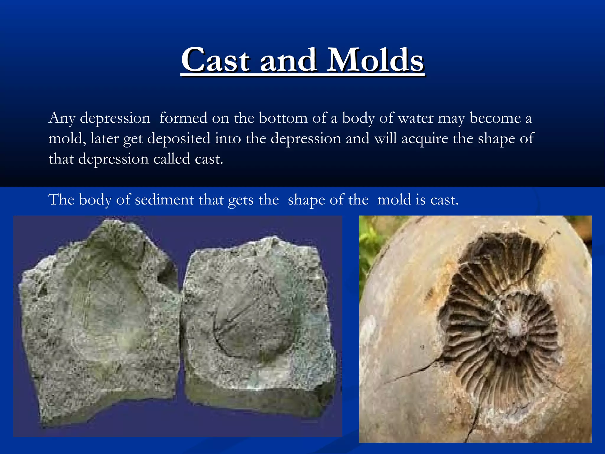 Cast and MoldsCast and Molds
Any depression formed on the bottom of a body of water may become a
mold, later get deposited into the depression and will acquire the shape of
that depression called cast.
The body of sediment that gets the shape of the mold is cast.
 