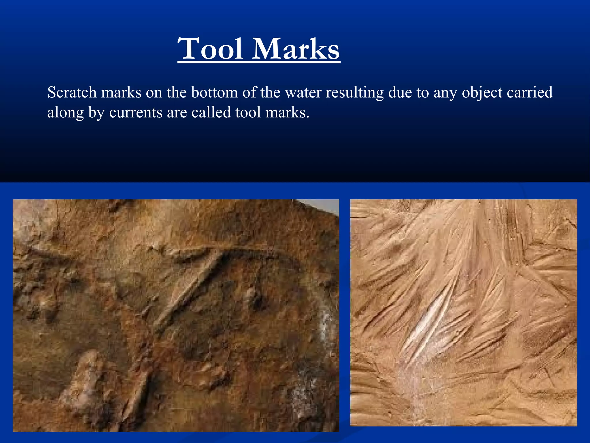 Tool Marks
Scratch marks on the bottom of the water resulting due to any object carried
along by currents are called tool marks.
 