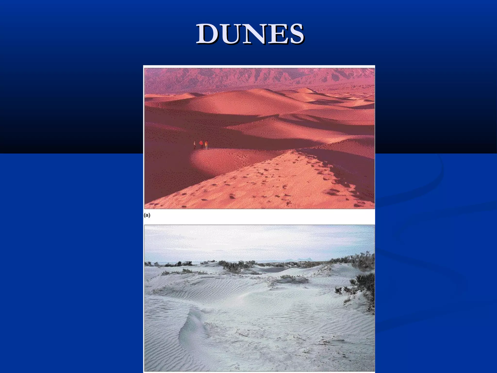 DUNESDUNES
 