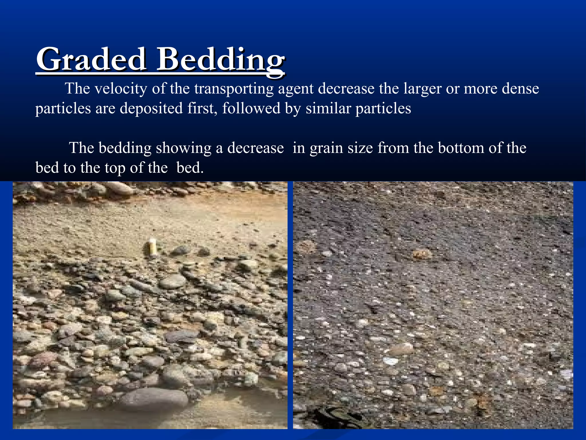 Graded BeddingGraded Bedding
The velocity of the transporting agent decrease the larger or more dense
particles are deposited first, followed by similar particles
The bedding showing a decrease in grain size from the bottom of the
bed to the top of the bed.
 