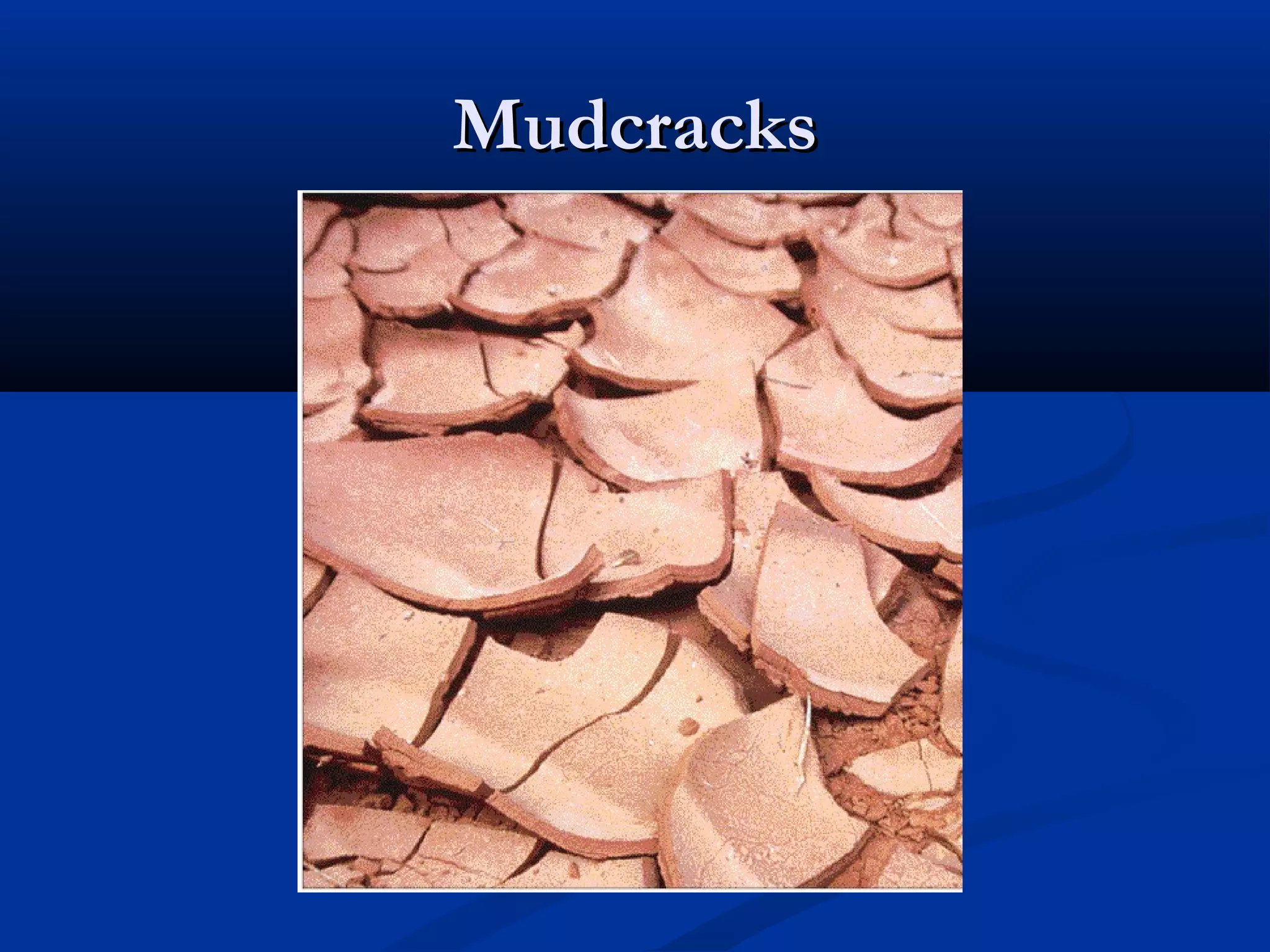 MudcracksMudcracks
 