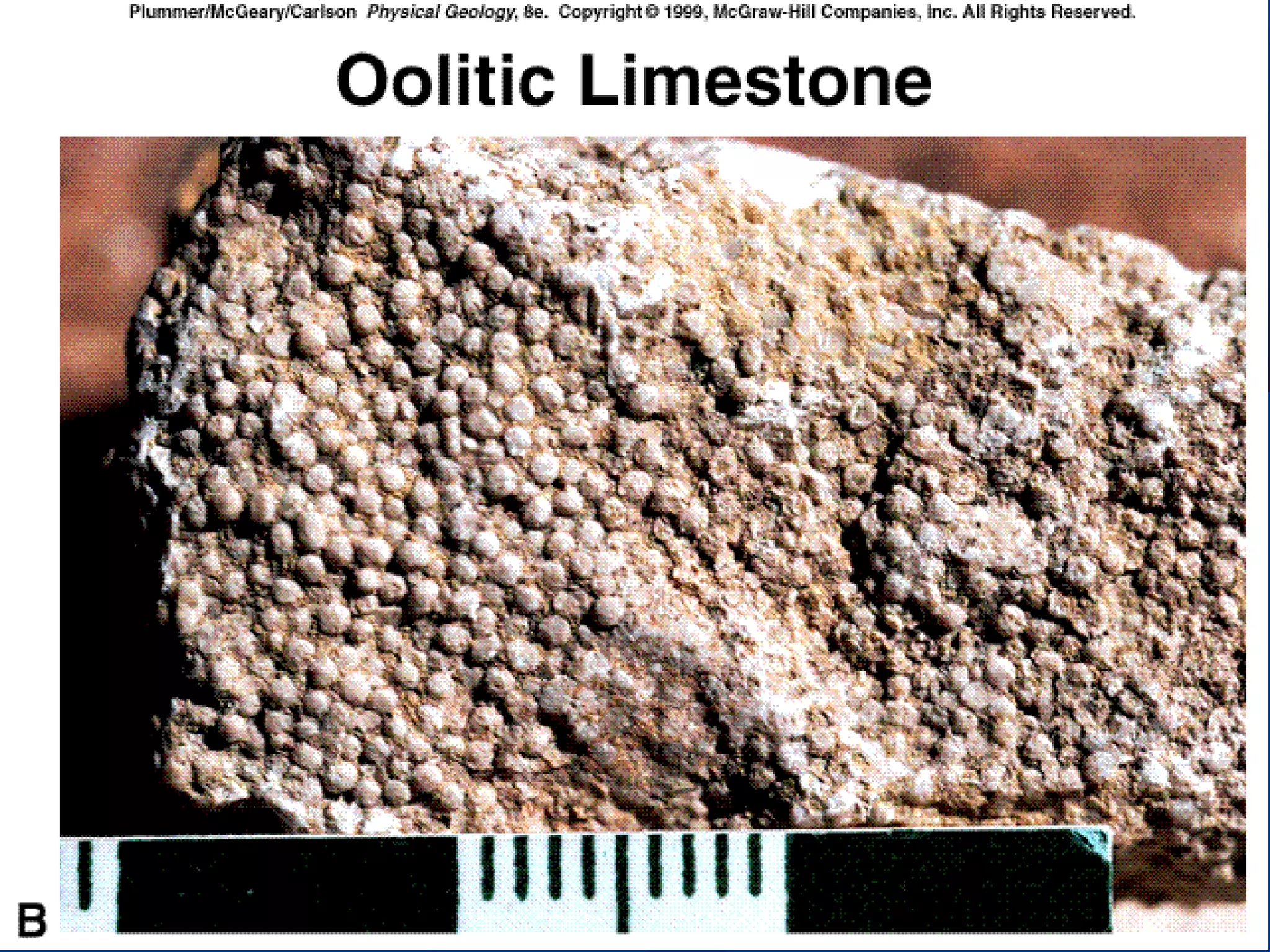 Structures of sedimentary rocks