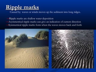 Typical Ripple Marks Structures of sedimentary rocks | PPT