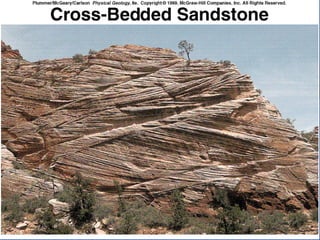 Structures of sedimentary rocks | PPT