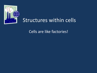 Structures within cells
Cells are like factories!
 
