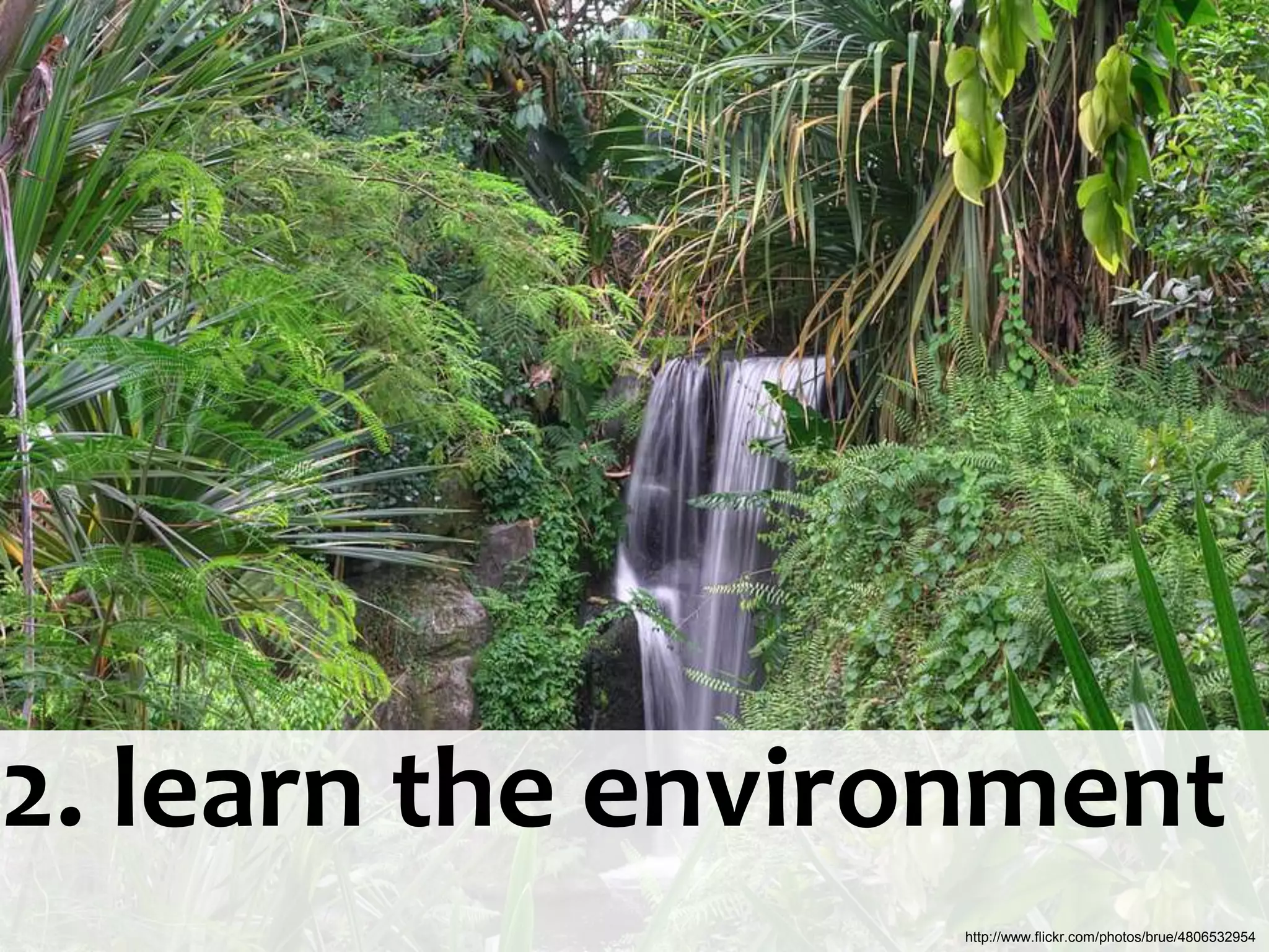 2. learn the environment
                  http://www.flickr.com/photos/brue/4806532954
 