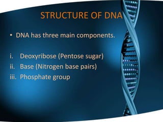 Structure Of Dna And Rna Ppt