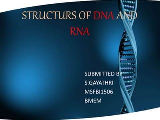 STRUCTURS OF DNA AND
RNA
SUBMITTED BY
S.GAYATHRI
MSFBI1506
BMEM
 
