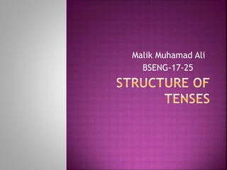 Malik Muhamad Ali
BSENG-17-25
 