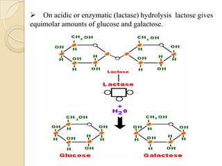  On acidic or enzymatic (lactase) hydrolysis lactose gives
equimolar amounts of glucose and galactose.
 